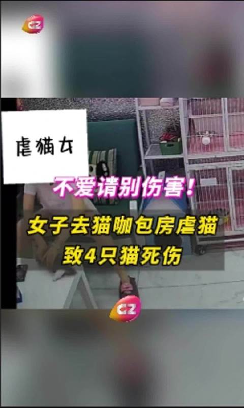 第240页