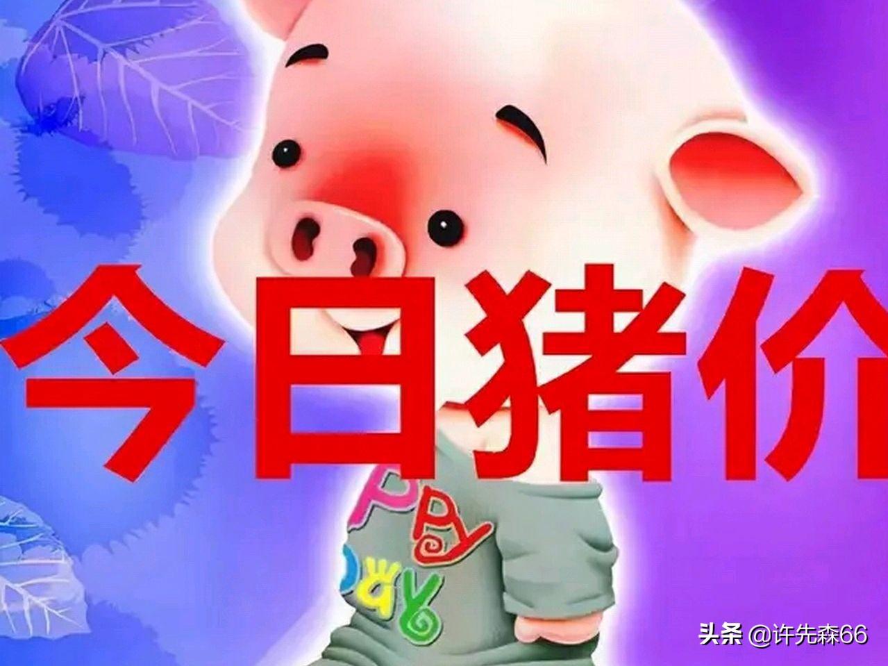 第248页