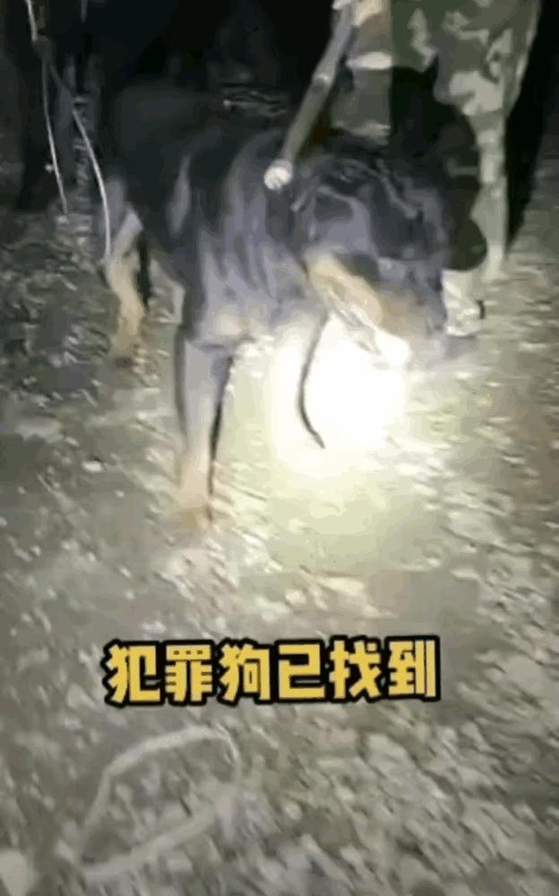 娱乐生活 第19页